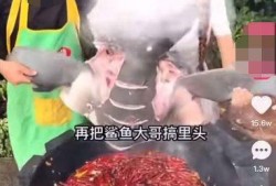 爆料网红提子视频下载,独家攻略大公开！