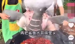 爆料网红提子视频下载,独家攻略大公开！