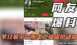 死亡番薯爆料视频,视频爆料背后的惊人真相