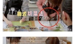 圈内爆料热巴和鞠婧祎,揭秘两位女神的幕后故事”