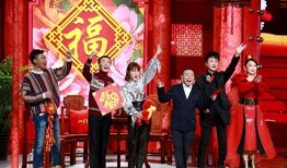 春晚明星爆料视频完整版,揭秘幕后故事与精彩瞬间