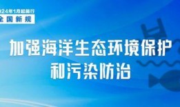 启海最近爆料新闻报道,最新新闻报道深度解析