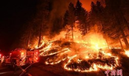 美国大火当地人爆料视频,当地居民亲述生死瞬间