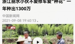 短视频创业新闻爆料,揭秘最新行业动态与成功案例