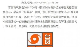 cs2现状最新爆料消息,揭秘游戏更新与未来发展方向