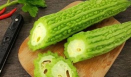 免费吃瓜网线,揭秘网络世界的免费盛宴