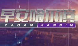 哈尔滨头条周日爆料新闻,揭秘周日重大爆料事件内幕