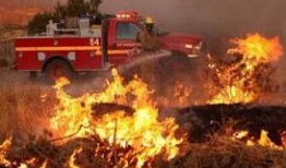 美国大火当地人爆料视频,当地居民亲述生死瞬间