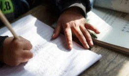 宁夏家长爆料新闻,校园食品安全问题引发关注