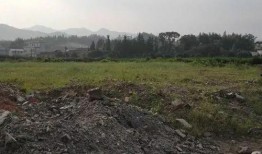 全州咸水乡村爆料视频播放,揭秘视频播放背后的魅力