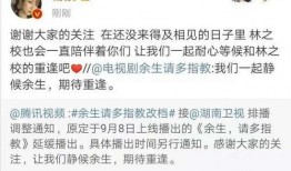 肖战杨紫最近的爆料视频,幕后故事与情感纠葛