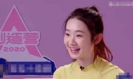 张艺凡娱乐爆料事件真相,揭秘背后真相与真相背后的真相