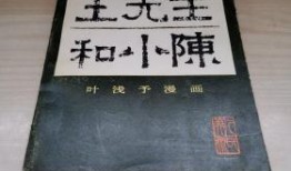 王先生和小陈在线观看,王先生与小陈的云端观影之旅