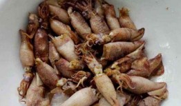 小墨鱼最新爆料,揭秘娱乐圈最新动态