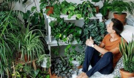 植物家女儿在线观看,探寻自然奥秘的青春之旅