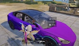 轿车皮肤最新爆料,尖端科技与时尚美学完美融合