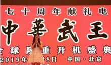 中华武王在线观看,传奇英雄的荣耀征程