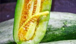 吃瓜被爆的网红,网红吃瓜意外爆红，揭秘幕后真相