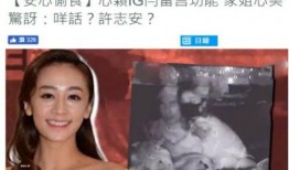 钟三姐被捉爆料视频,揭秘背后惊人真相