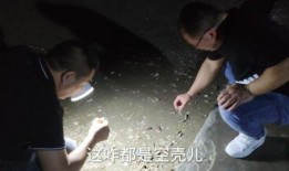 双峰溺水事件爆料视频播放,揭秘事发经过与救援过程