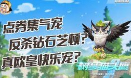 飞车爆料猫头鹰视频,猫头鹰神秘视频揭秘，探寻未知世界之谜