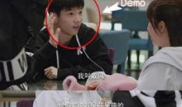 肖战杨紫最近的爆料视频,幕后故事与情感纠葛