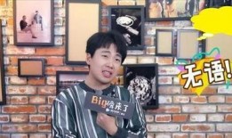 男艺人塌房爆料新闻视频,男艺人塌房事件视频曝光，真相令人震惊