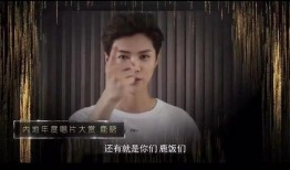 阿笨哥哥爆料视频大全集,揭秘幕后真相，笑料百出