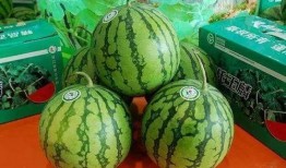 吃瓜被爆的网红,网红吃瓜意外爆红，揭秘幕后真相