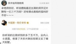 卓伟爆料鹿晗近况视频,卓伟揭秘明星生活幕后真相