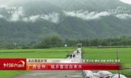 全州咸水乡村爆料视频播放,揭秘视频播放背后的魅力