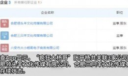 热点爆料杨哥视频播放网站,热门爆料背后的真相