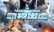 动物出击在线观看,奇趣动物大冒险在线观看攻略