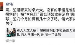 卓伟爆料李鬼们视频全集,李鬼视频全集曝光，真相大白！