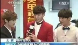 爆料娱乐圈的叫什么伟,揭秘“伟”字辈明星背后的故事