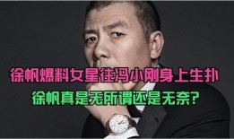 冯小刚爆料女明星视频,女明星私密视频事件引发热议