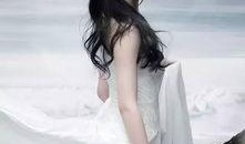 广东爆料刘亦菲视频完整版,揭秘明星幕后生活