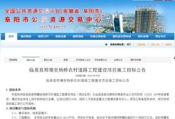 临泉最新爆料,揭秘背后惊人真相