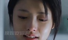 娱乐吃瓜酱啃宠