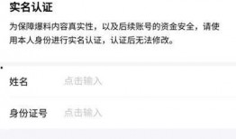 视频爆料奖金,揭秘幕后真相与巨额奖励背后的故事