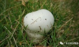 医生爆料乱开药视频大全,视频曝光医疗行业痛点