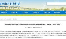 绥中县爆料新闻公众号,聚焦民生热点，传递社会正能量