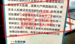 新闻爆料搞笑视频大全免费,免费观看欢乐无限