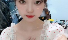 东北小厨娘爆料视频大全,视频大全中的美食秘籍大公开