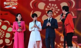 春晚明星爆料视频完整版,揭秘幕后故事与精彩瞬间