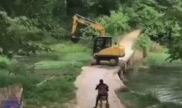 最新铁血战士爆料视频播放,惊险刺激，科幻巨制再掀热潮