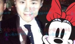 王子爆料张杰视频,视频曝光惊人内幕