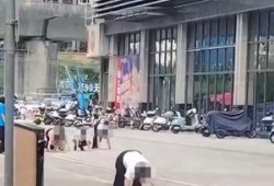 惠州爆料最新视频,揭秘城市背后不为人知的真相