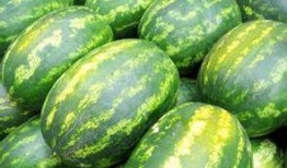 网红情报处吃瓜,吃瓜群众背后的故事