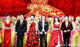 春晚明星爆料视频完整版,揭秘幕后故事与精彩瞬间